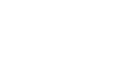 INK Lingua Services